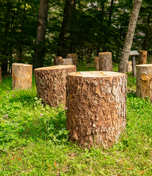 stump grinding