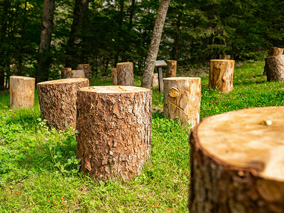 removing trees