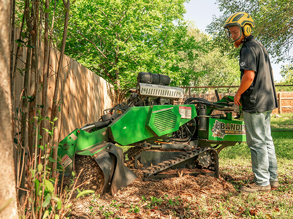 tree care