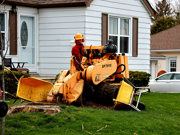 lot clearing