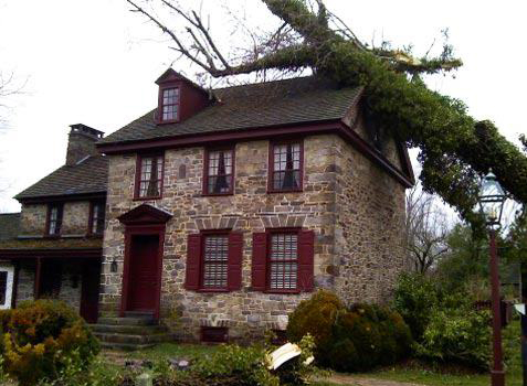 Fallen large tree on a house